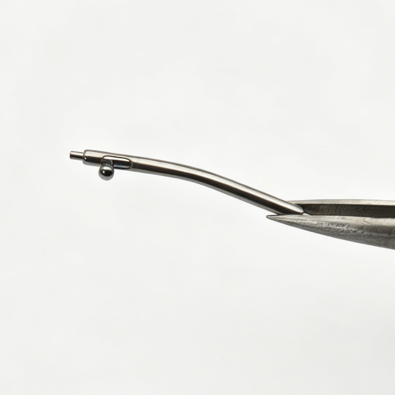 Suku Cadang Perbaikan Jam Tang - Curved Spring Bar ulasan dan harga